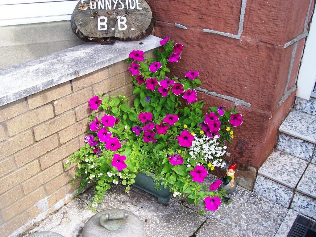 Sunnyside B&B Balloch Dış mekan fotoğraf